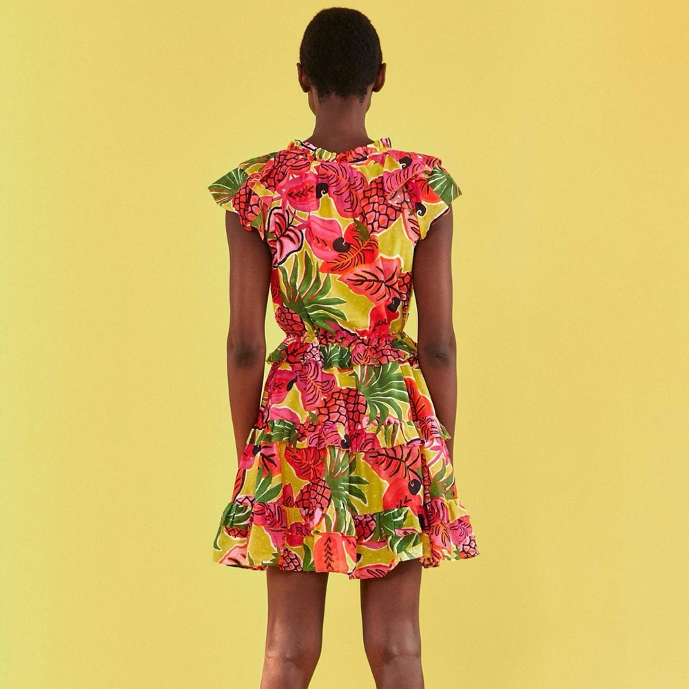 Farm Rio Dream Fruit Ruffled Mini Dress. Extra Small - Picture 2 of 12